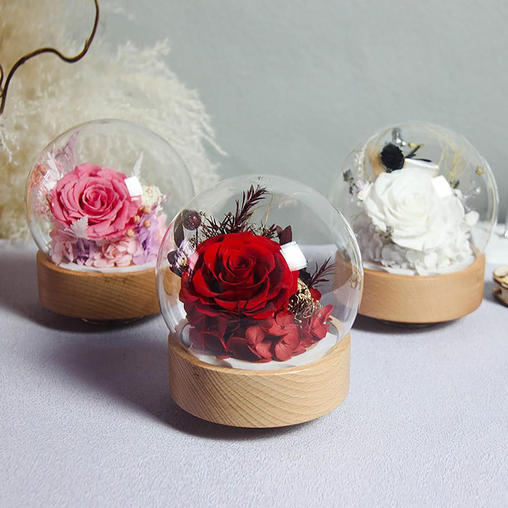 Preserved Roses Music Box Sweet Preserved Flowers Music Box for Mothers Day Decor Gift