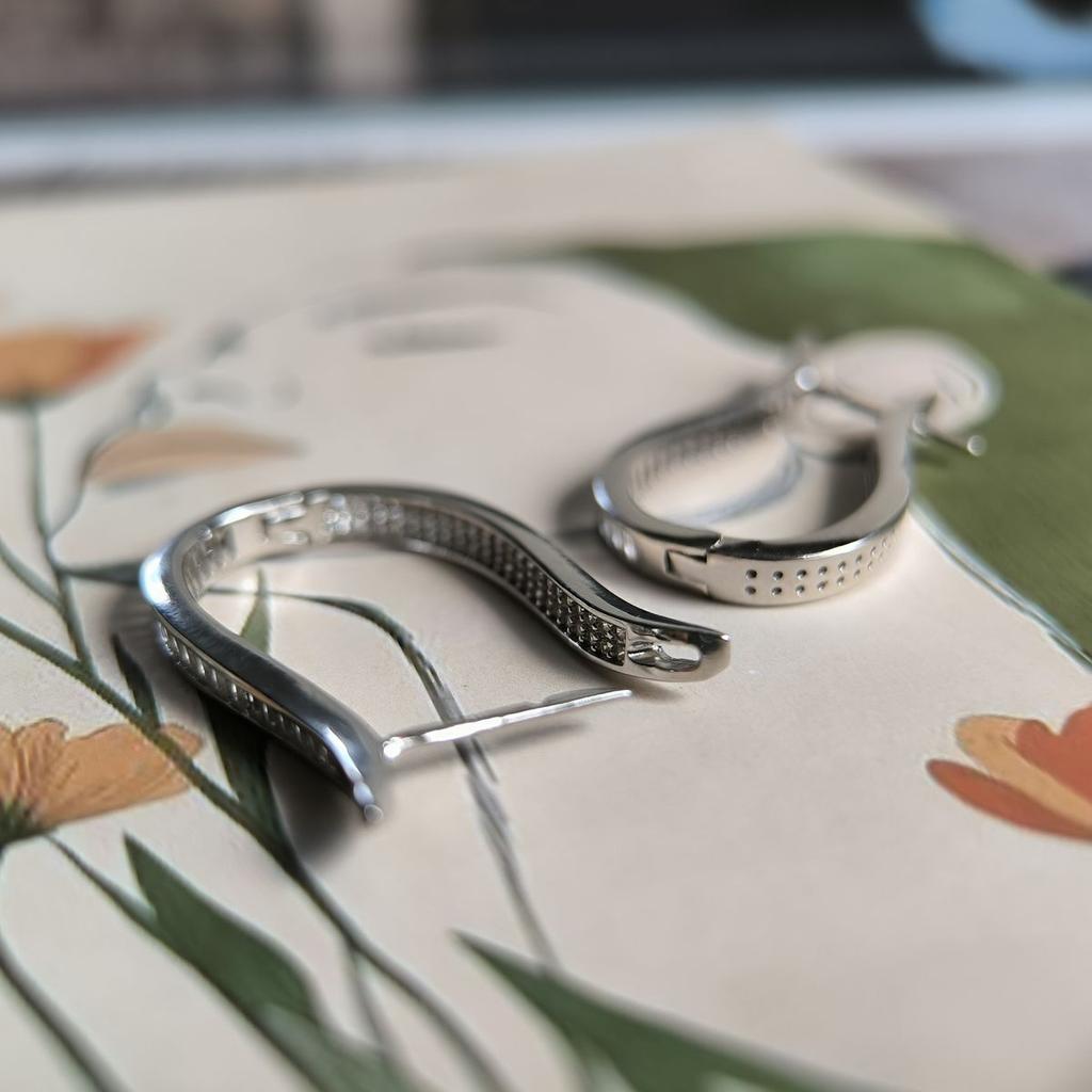 Silver Earrings with Cubic Zirkonia (2192008)