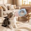 Silicone Nipple Pet Milk Bottle Visible Scale Pet Feeding Bottle Cat Feeding Bottle Newborn Puppy