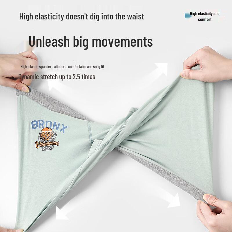 Langsaha Boys' 7A Antibacterial Cartoon Boxer Briefs 4-Pack