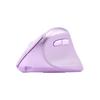 Periferice pentru calculatoare – Mouse-uri