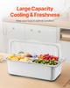Countertop Food Serving Display Container 4 Pan Condiment Dispenser Tray