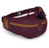 Savu 2 Hydration Pack Aprium Purple