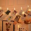 Pailide LED Photo Clip String Lights