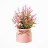 Plastic Artificial Flower Bonsai Fake Plant Flowers Potted Ornament Simulation Succulents Evergreen Bonsai Desktop Decoration