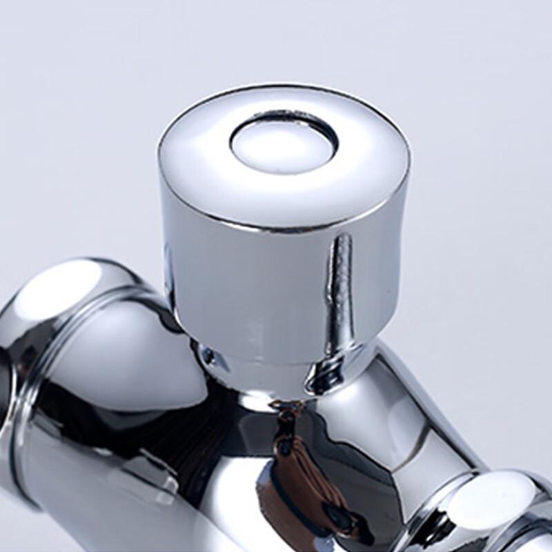 Longdai Manual Delayed Flush Valve for Squatting Toilets