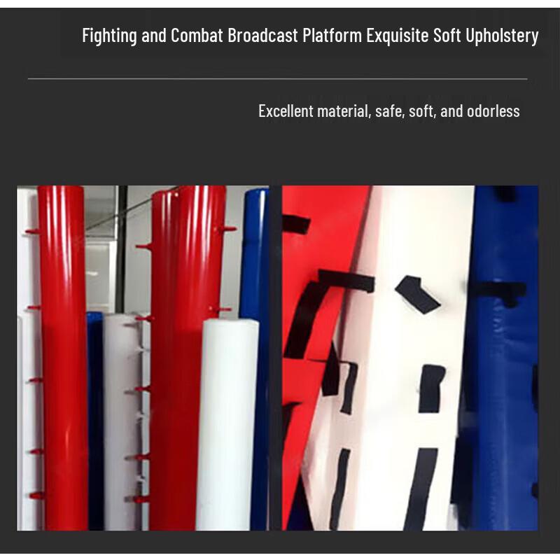 Pan Tu Professional Boxing & MMA Training Ring