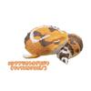 Genuine Gacha Scale Model The Guardian of Sleep Sleeping Reptile Lizards Decorative Item Action Figure Toys