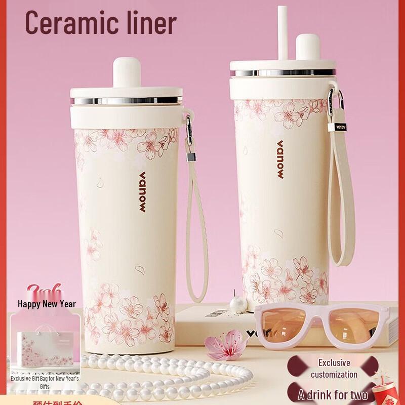 Vanow Stainless Steel Insulated Straw Cup