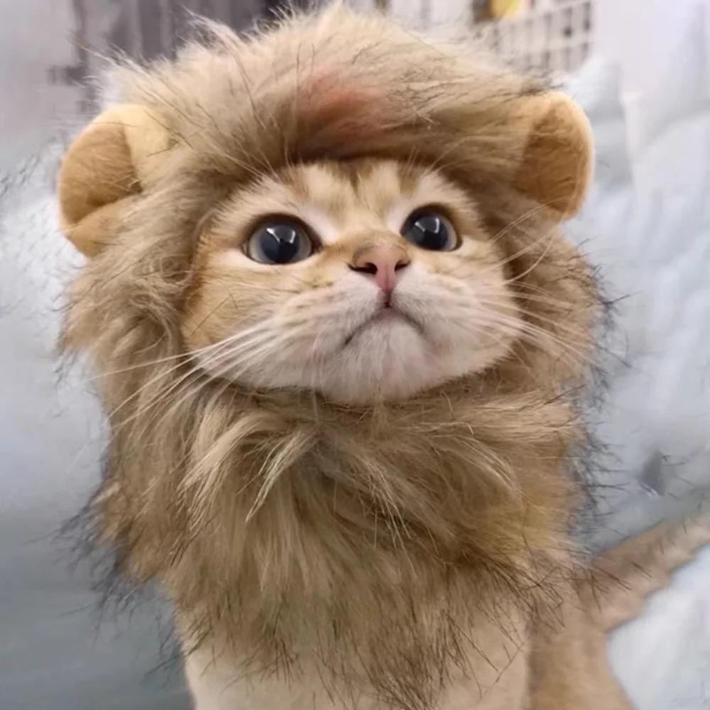 Pet Cat Hat Lion Head Cover Puppy Lion Wig Cat Cosplay Props Halloween Christmas Party Pet Dressing Up Supplies