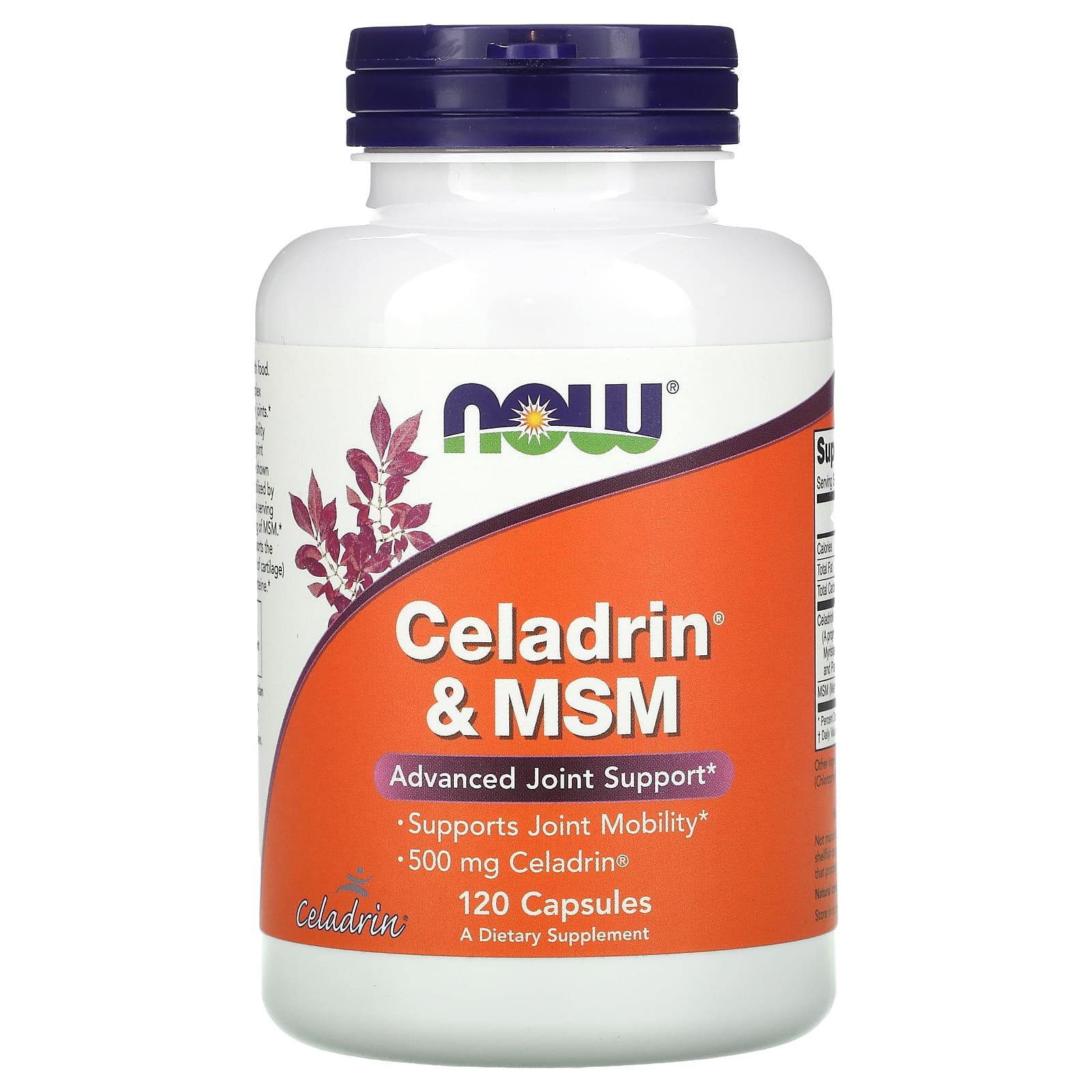 

Celadrin & Msm, 120 Capsules