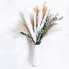 Yunnan Reed Whisk Rabbit Tail Grass Dried Flower Bouquet Production