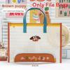 Cartoon Mesh Document File Bag With Handle For Office And School Use