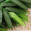 Durable Simulation For Wedding Ornaments Garden Plant Leaves Branches Silk Cloth Bamboo Leaf