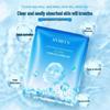 Hydrating Elastic Ice Mask for Smooth Skin & Pore Minimization