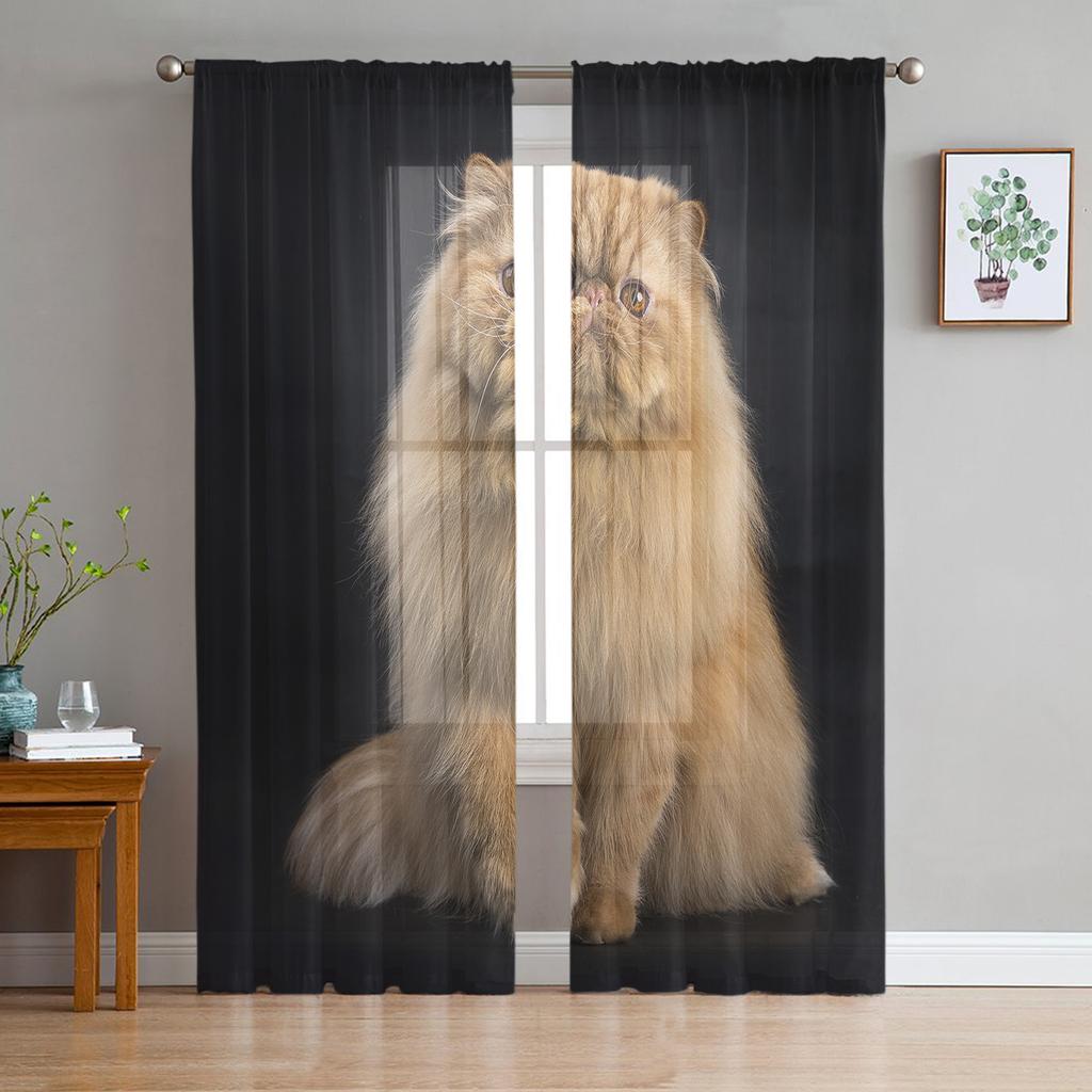 Tylové závěsy do obývacího pokoje Kočka Černá Roztomilá jednoduchá ložnice Pracovní okno Průsvitné závěsy Kuchyň Balkonové interiérové voálové závěsy
