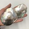 Natural Blacklip Pearl Irregular Pieces: Clothing Pendants, Charms, Caviar Dishes, Home Ornaments, DIY Accessories