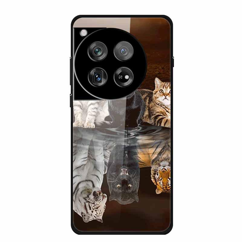 Personalized Seven-Colored Tempered Glass Phone Case for OnePlus 12 - Unisex