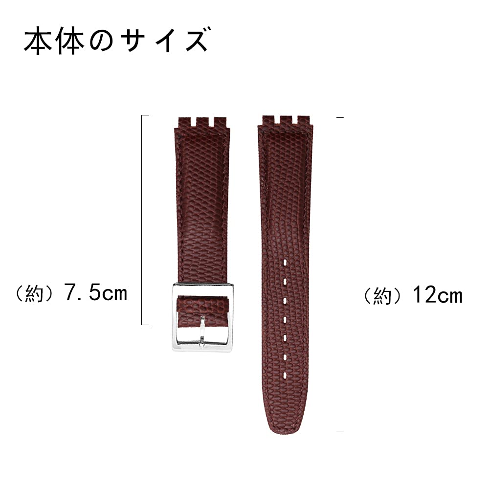 ZHUOLEI Swatch Watch Strap, 17mm/19mm, Brown, Includes 3 Spring Bars, Spring Bar Remover, and Box