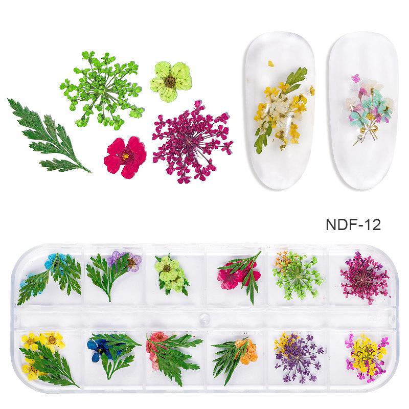 1Box Dried Flowers Dry Plants for Rsein Molds Fillings Epoxy Resin Pendant Tweezers Jewelry Making Craft DIY Nail Art Decoration