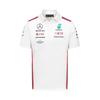 Official Mercedes-AMG Petronas Motorsport Formula 1 Polo Shirt