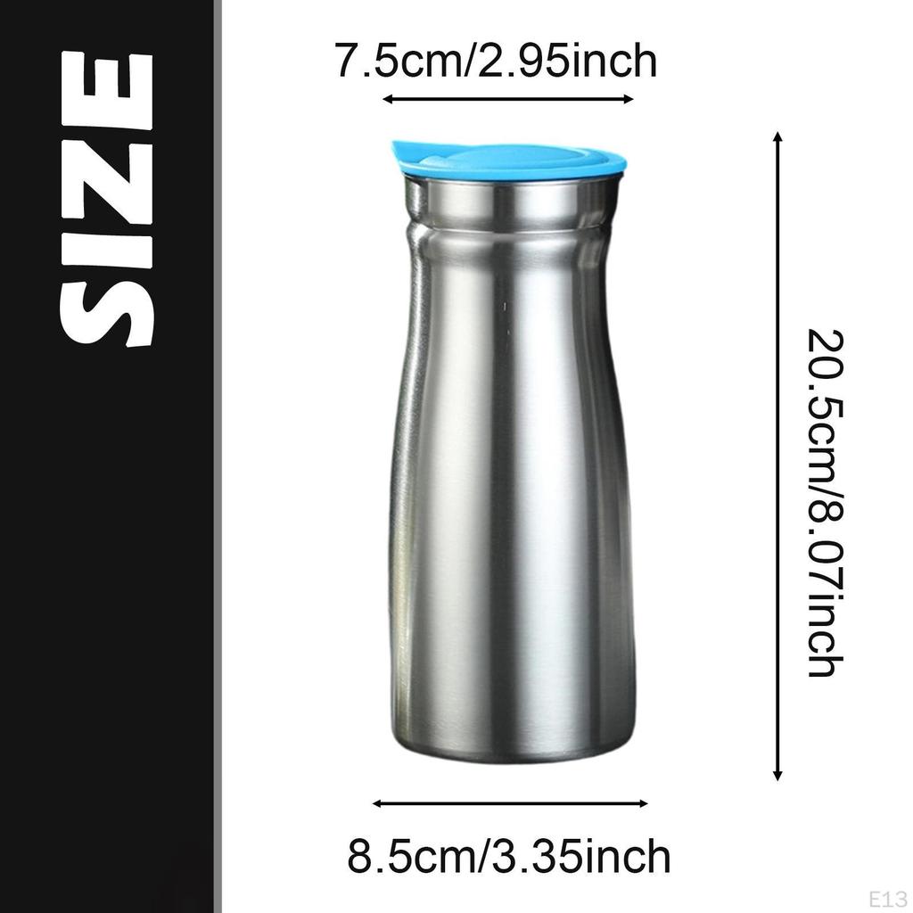 0.8 Liter Stainless Steel Insulated Carafe, Coffee Pot for Cold Drinks, Leakproof Lid, Beverage