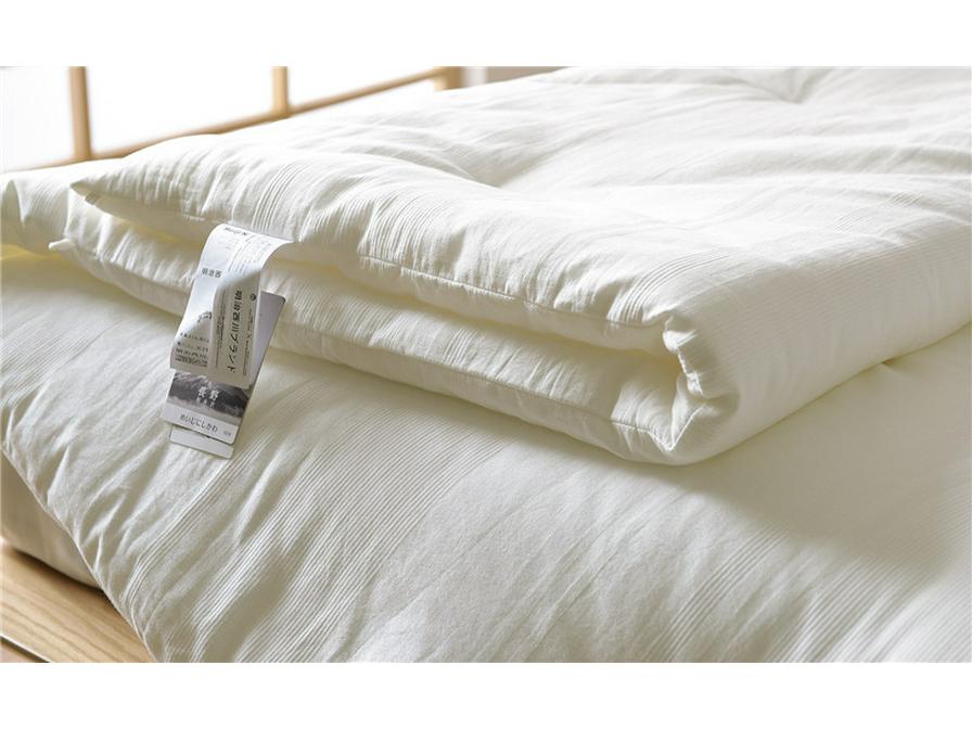 Meiji Nishikawa Class A Cotton Air Conditioning Quilt for All Seasons