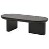N625P300081S) 119.7*49.8*35.5 cm Black Modern Minimalist Coffee Table, Spray-Painted Living Room Table, Oval, MDF