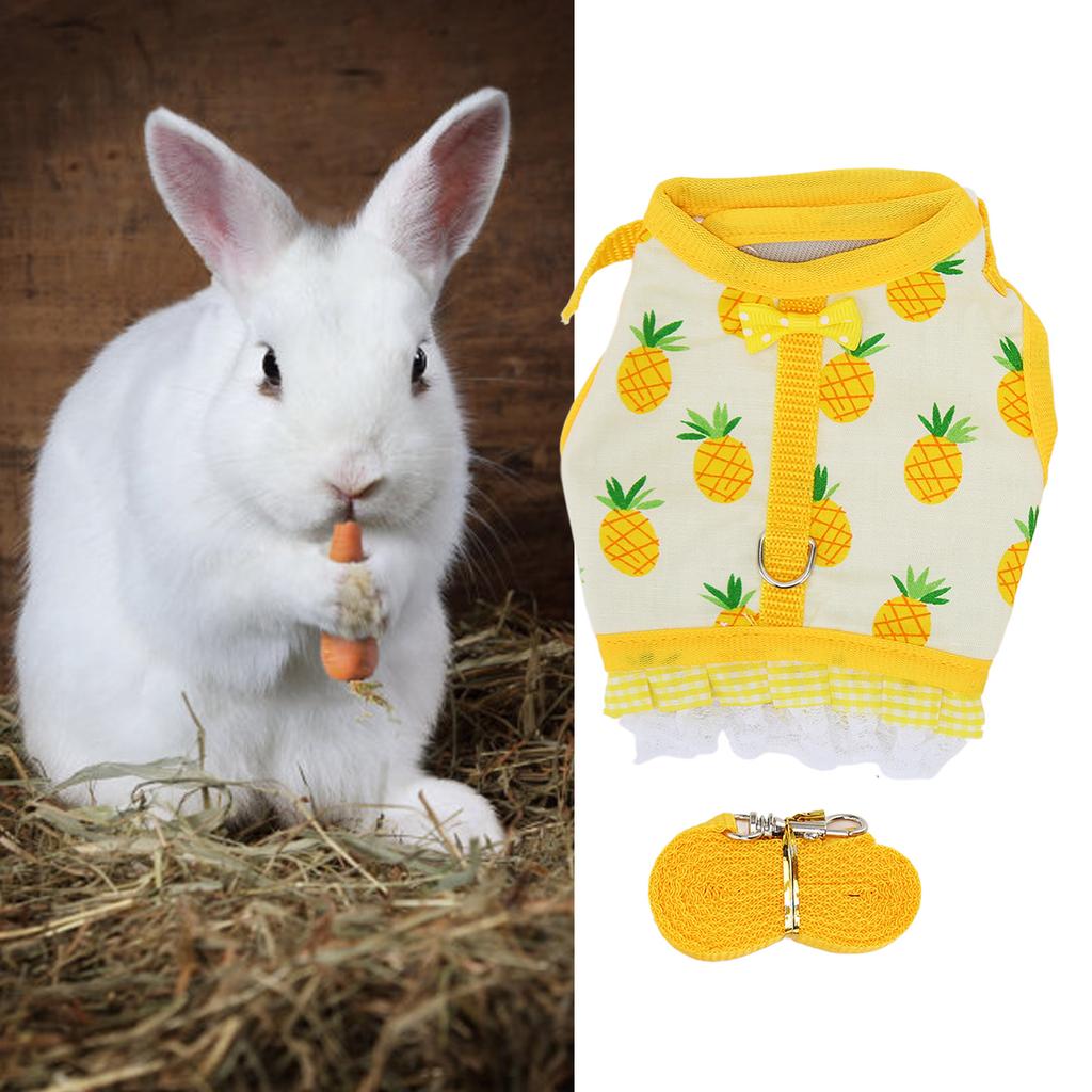 Vest Lsh Fruit Printing Lace Hem Hook and Design Small Animal Harness Set for Chinchilla Ferret