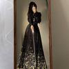 Horse-face Skirt Full Set Chinese Ming Dynasty Style Suit Daily Hanfu