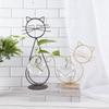 Cute Iron Table Flowers Vases Hydroponic Plant Vases Cat Shaped Flower Pot Transparent Vase With Iron For Home Decoration