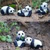 Mini Panda Resin Figurine Cute Animal Statue For Fairy Garden Micro Landscape Home Desktop Room Decoration Miniature Craft Gift