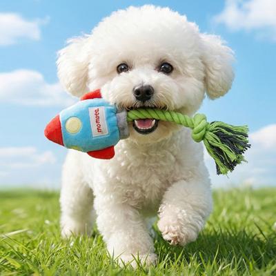 Köpek – Köpek oyuncakları