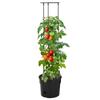 Tomato Planter - Maison Exclusive - Anthracite - Ø29.5x115 Cm - UV-resistant Polypropylene