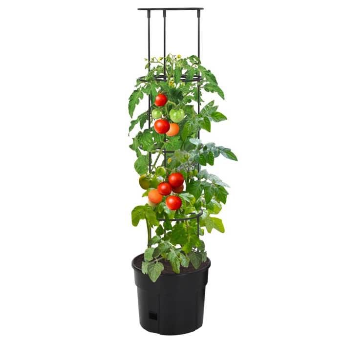 Tomato Planter - Maison Exclusive - Anthracite - Ø29.5x115 Cm - UV-resistant Polypropylene