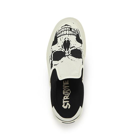 Straye Ventura / Bonehead / Sve2519