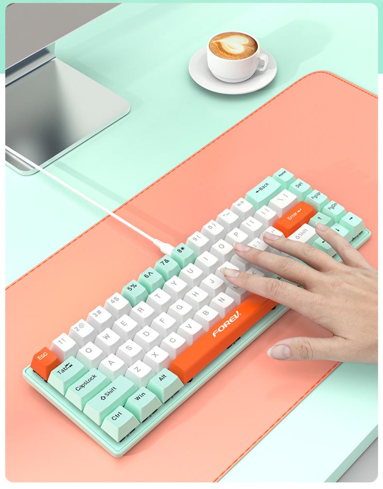 68-key RGB Tri-mode Russian Gasket Wired Mechanical Gaming Keyboard