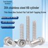 304 Stainless Steel Thin Head Hex Socket Flat Tail Self-Tapping Screw M1.7-M6HB