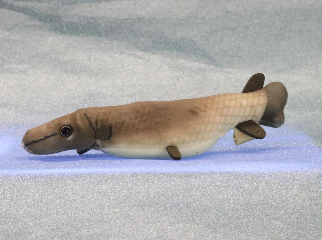 Take Off Pish Small and Colorful Stuffed Fish Alligator Gar