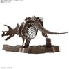 BANDAI SPIRITS (Bandai Spirits) Imaginary Skeleton (Imaginary Skeleton) Triceratops 1/32 scale pl...