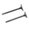 Exhaust Intake Valve Kit Black Exhaust Intake Valve Set Replacement for XG250 TRICKER 2004?2017