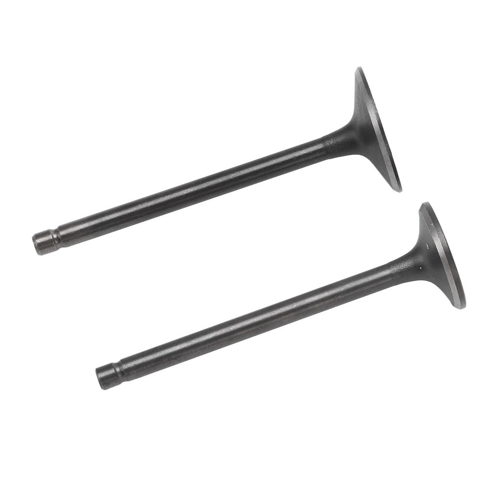 Exhaust Intake Valve Kit Black Exhaust Intake Valve Set Replacement for XG250 TRICKER 2004?2017