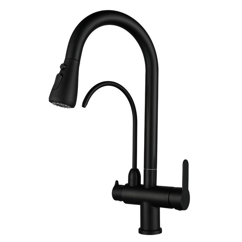 Nickel/Svart 304 Rostfritt Stål Utdragbar Kökskran Dubbelhandtag Enhål Vattenrenare Tvätt Varmt Och Kallt Handfatkran