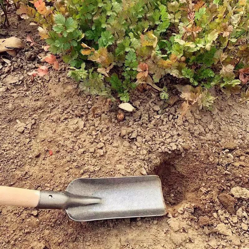 Paletta Piccola in Acciaio al Manganese Addensato per Fori per Piantare Fiori Erba di Montagna Attrezzi Agricoli