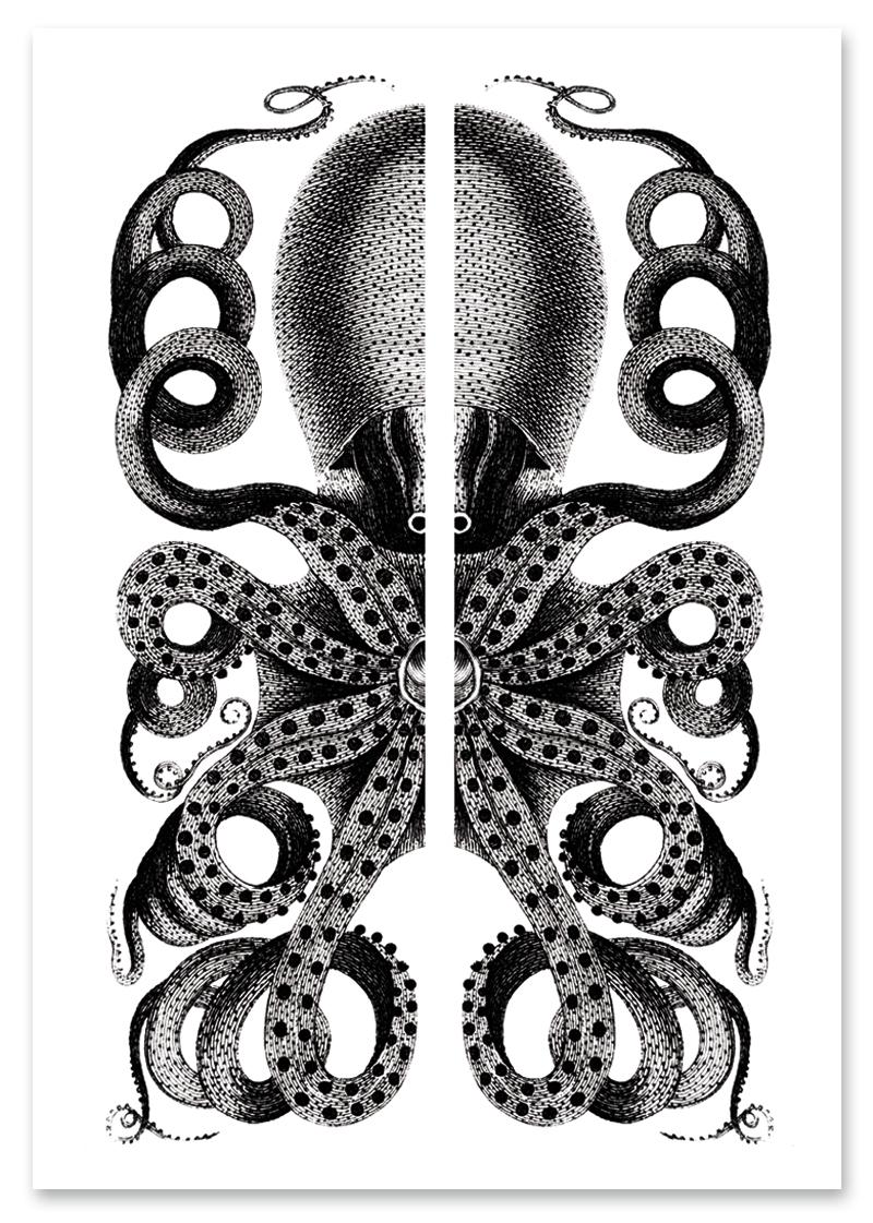 

Plakat czarnobiały ośmiornica 30x40 cm