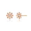 Stylus Daisy Bloom 3 Lab Diamond Earrings_2C2600022