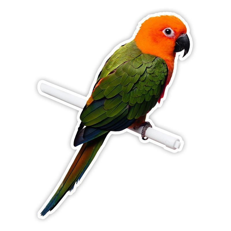

CS12033 # наклейка с попугаем на автомобиль, виниловая наклейка, водонепроницаемые декоративные наклейки для автомобиля C-15cm-Longest Side
