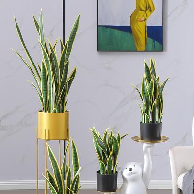 Umělá Sansevieria Trifasciata Jedna Větvička v Květináči Dlouhé Listy Falešné Zelené Rostliny pro Hotel Kancelář Domácí Dekoraci