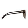 Prada Fashion Trend Acetate Butterfly Sunglasses Women Sunglasses Brown PR-01OS2AU6E1