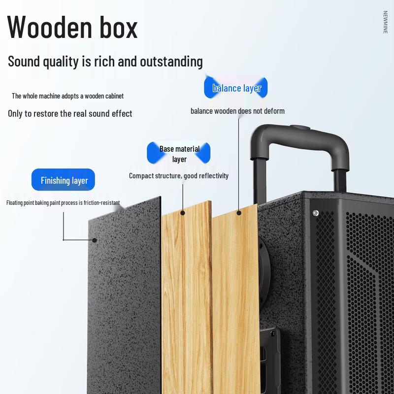 Newmine Portable Bluetooth Karaoke Speaker with Dual Mics (CN Version)